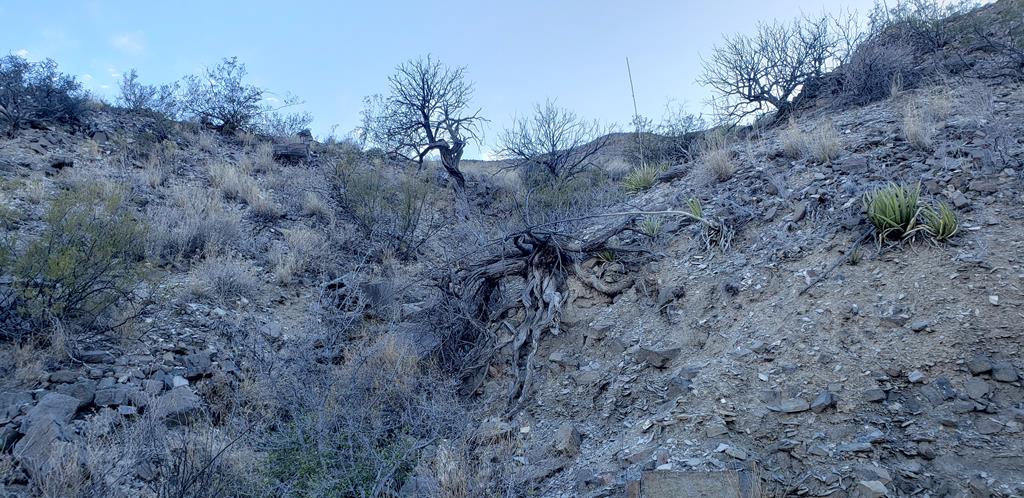 1 Red Fox Rd, Terlingua, Texas image 23