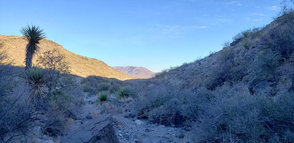 1 Red Fox Rd, Terlingua, Texas image 4