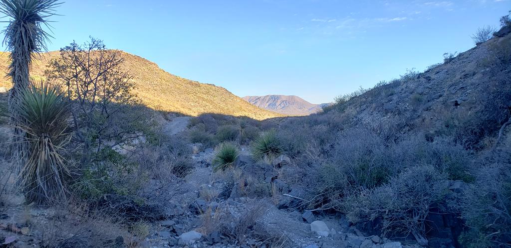1 Red Fox Rd, Terlingua, Texas image 25