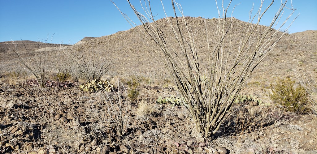 1 Red Fox Rd, Terlingua, Texas image 49