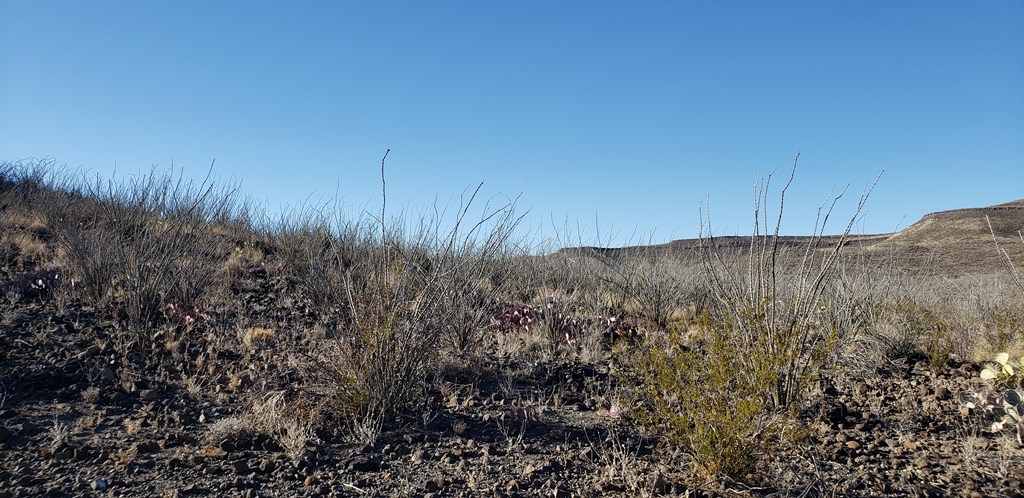 1 Red Fox Rd, Terlingua, Texas image 42