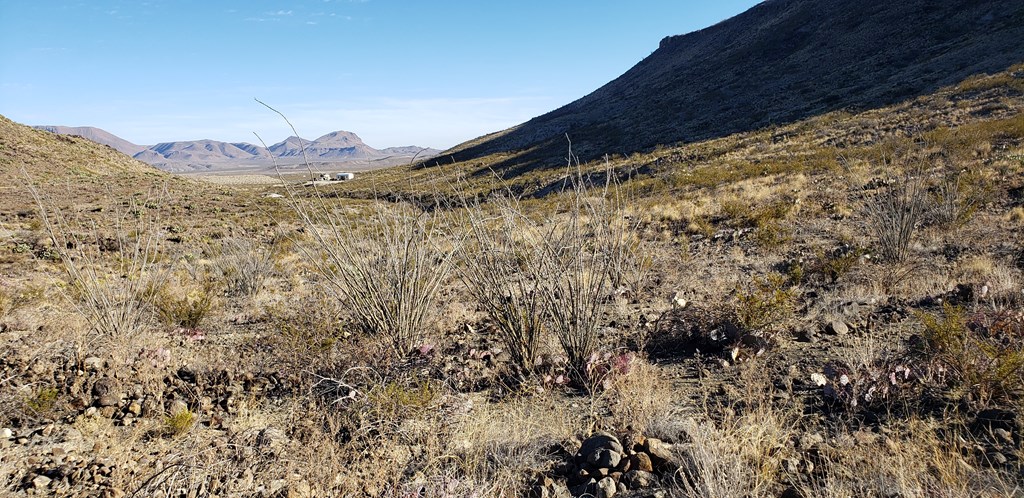 1 Red Fox Rd, Terlingua, Texas image 46