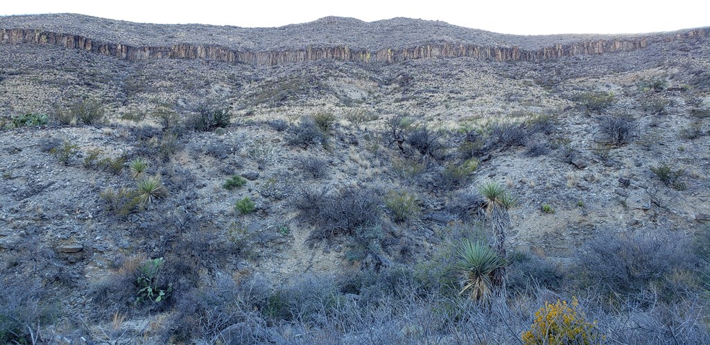 1 Red Fox Rd, Terlingua, Texas image 9