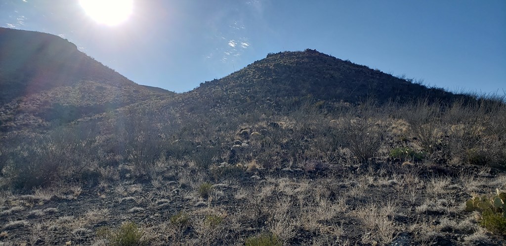 1 Red Fox Rd, Terlingua, Texas image 48