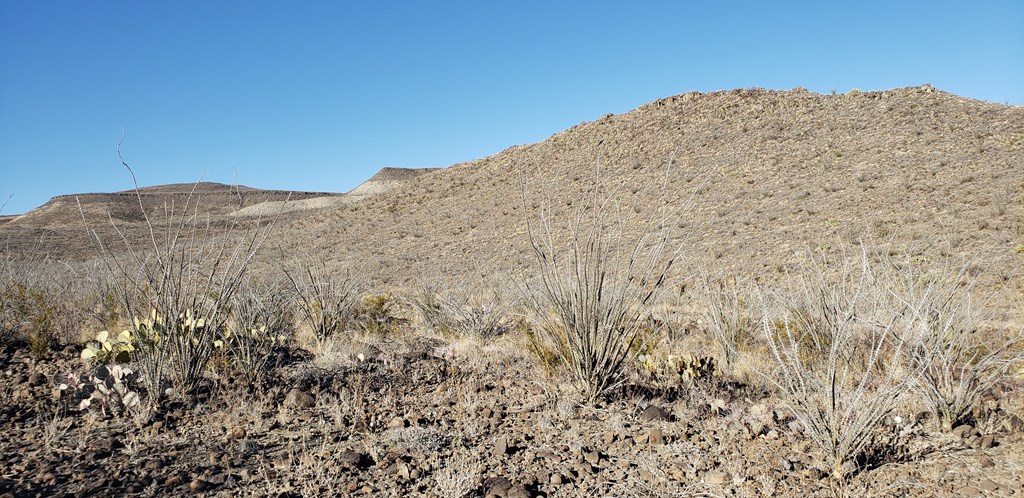 1 Red Fox Rd, Terlingua, Texas image 41