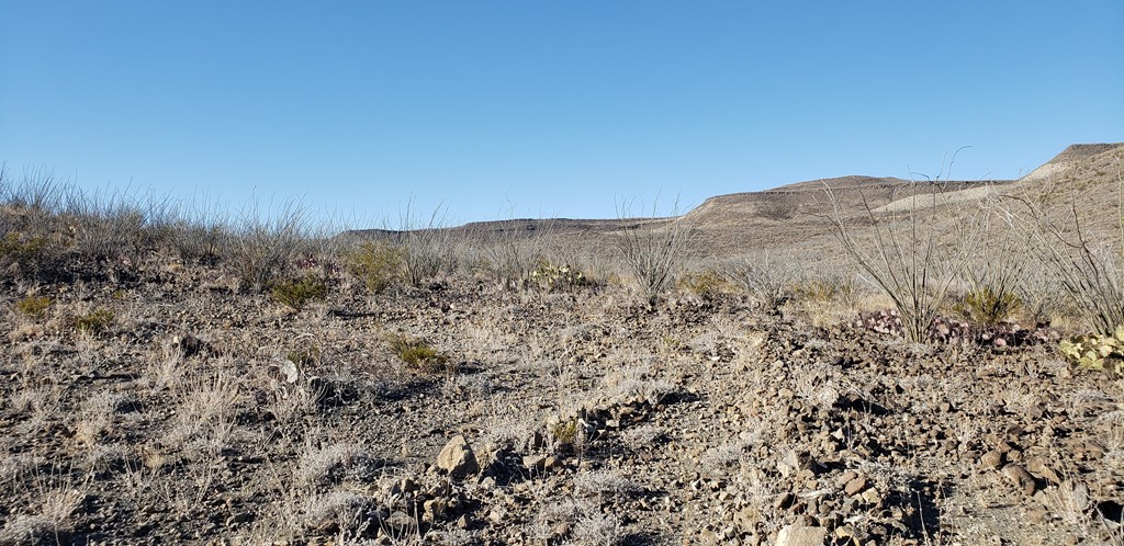1 Red Fox Rd, Terlingua, Texas image 50