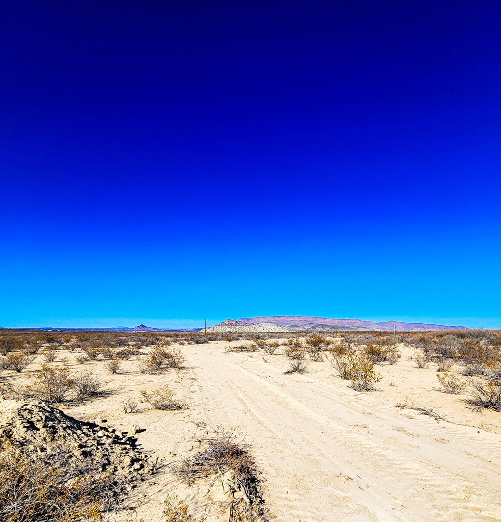 8823 Angel Rd, Terlingua, Texas image 15