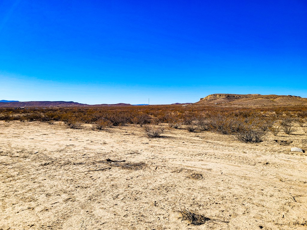 8823 Angel Rd, Terlingua, Texas image 18