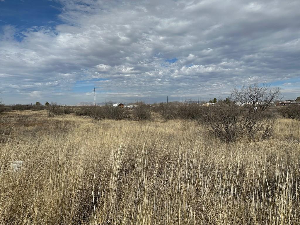 102 104 N Aparejo St, Marfa, Texas image 2