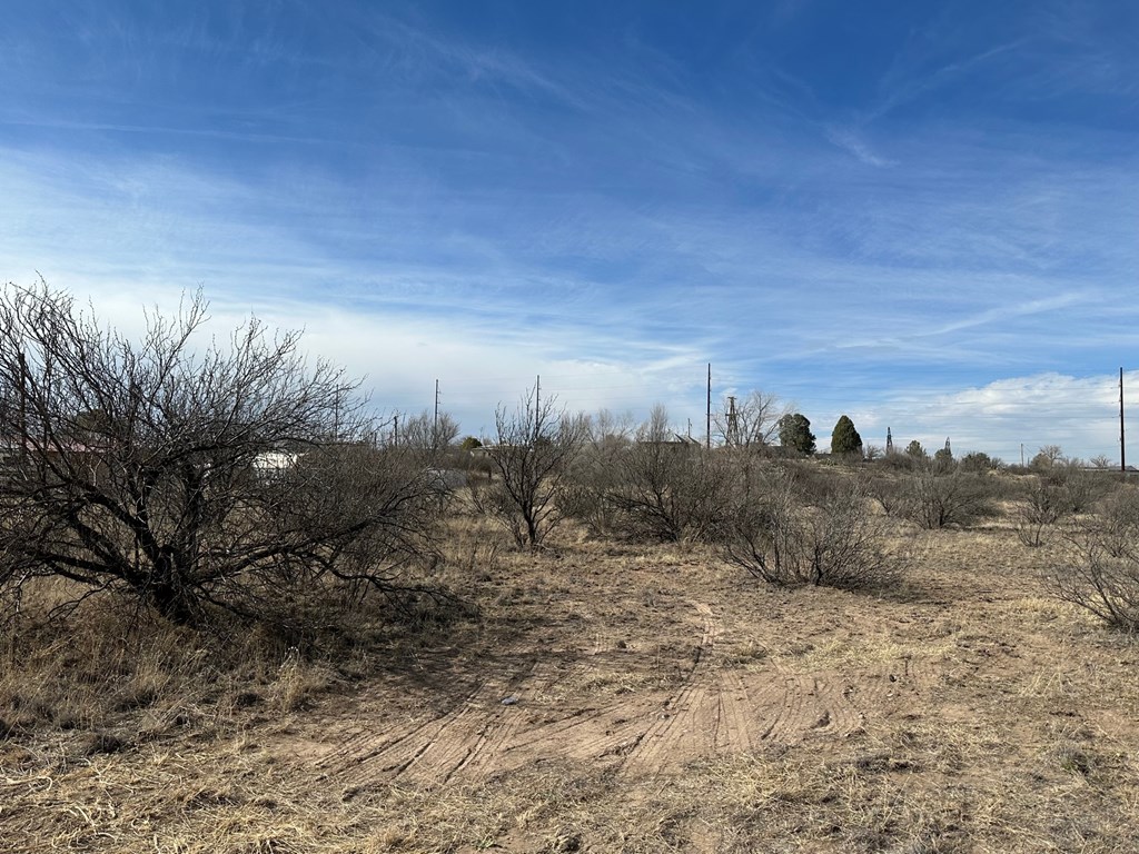 102 104 N Aparejo St, Marfa, Texas image 14