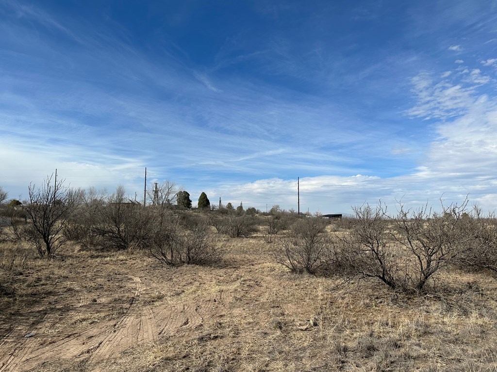 102 104 N Aparejo St, Marfa, Texas image 12