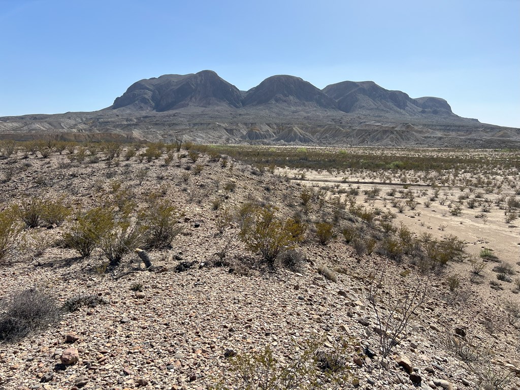 14420 Mailbox Rd, Alpine, Texas image 12