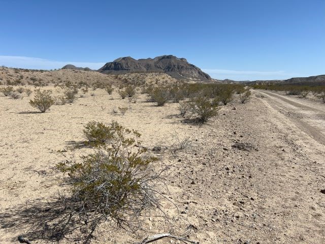 14420 Mailbox Rd, Alpine, Texas image 4