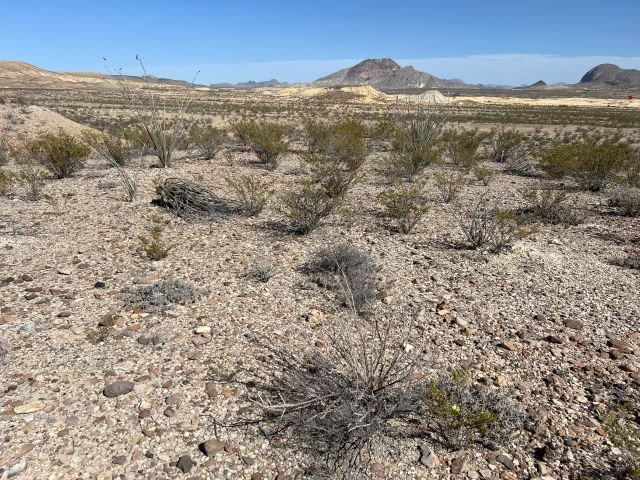 14420 Mailbox Rd, Alpine, Texas image 19