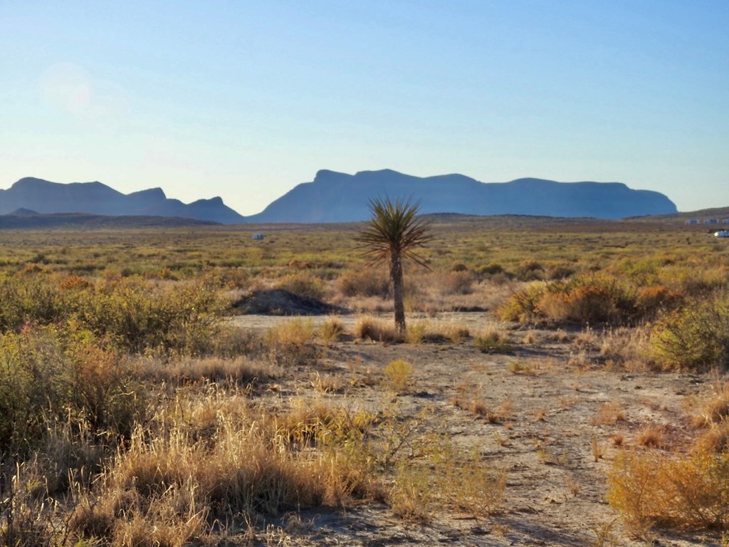 800 Ruby Road, Terlingua, Texas image 26