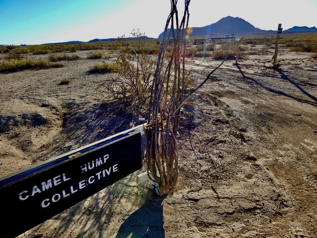 800 Ruby Road, Terlingua, Texas image 2