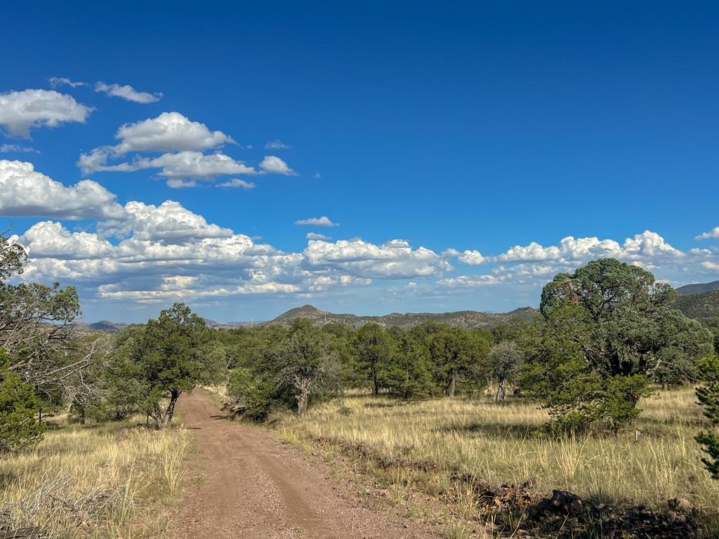 205 Low Meadow Trail, Fort Davis, Texas image 17