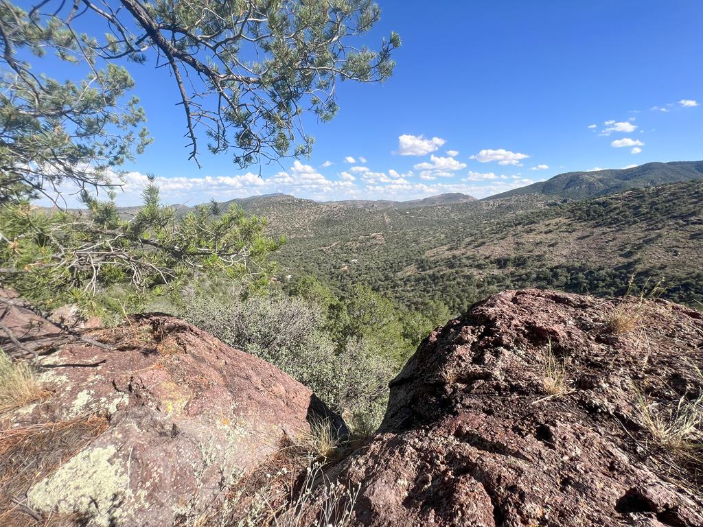 205 Low Meadow Trail, Fort Davis, Texas image 1