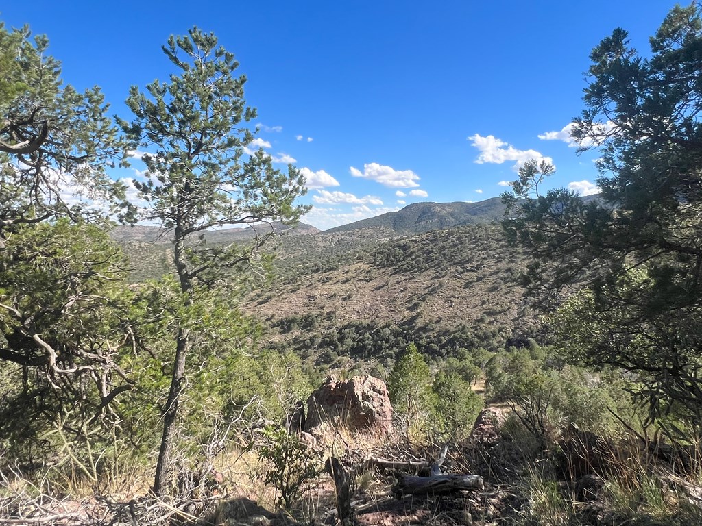 205 Low Meadow Trail, Fort Davis, Texas image 14