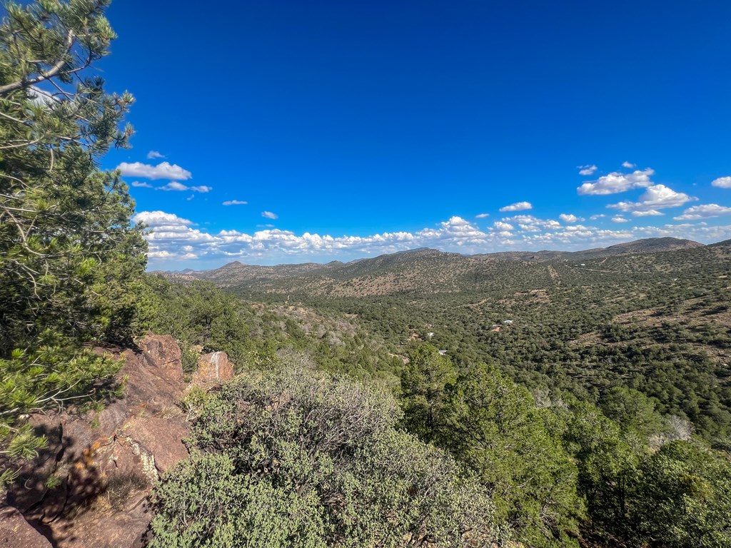 205 Low Meadow Trail, Fort Davis, Texas image 15