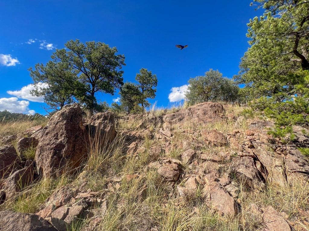 205 Low Meadow Trail, Fort Davis, Texas image 13