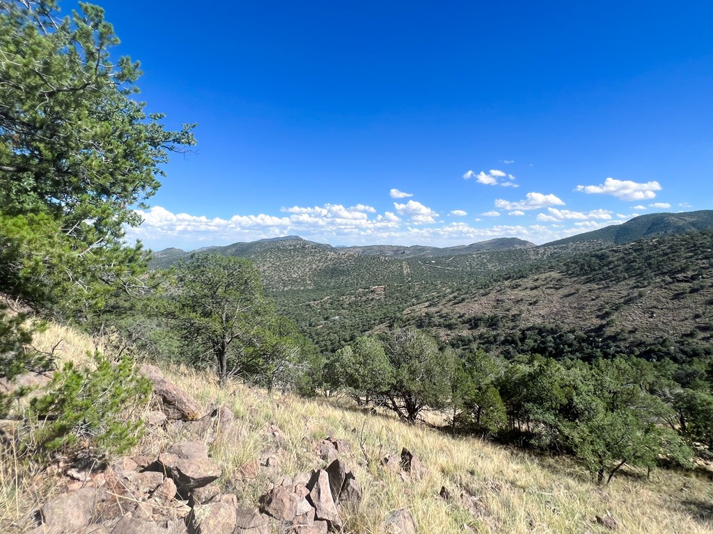 205 Low Meadow Trail, Fort Davis, Texas image 2