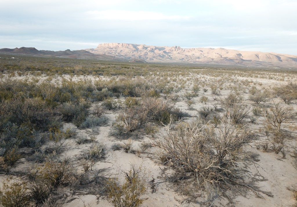 101 Redford, Terlingua, Texas image 15