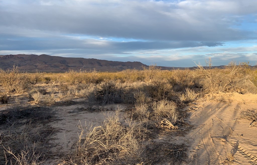 101 Redford, Terlingua, Texas image 3