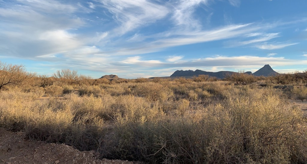 101 Redford, Terlingua, Texas image 7