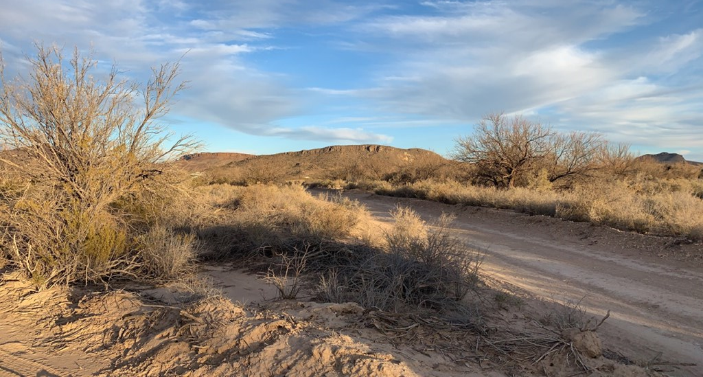 101 Redford, Terlingua, Texas image 2