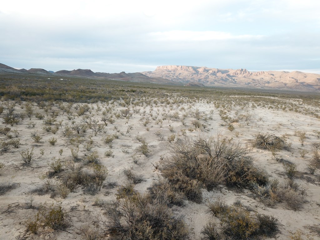 101 Redford, Terlingua, Texas image 16