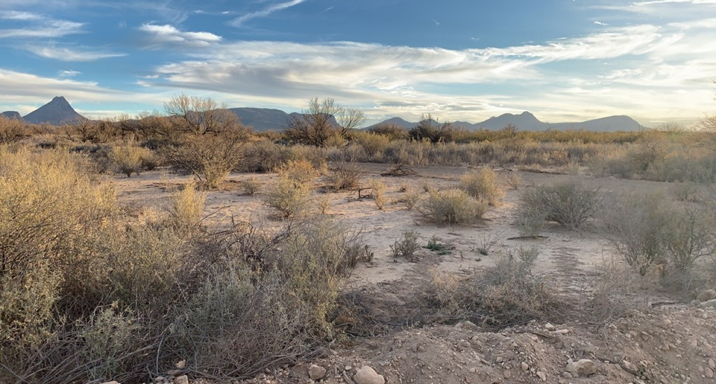 101 Redford, Terlingua, Texas image 8