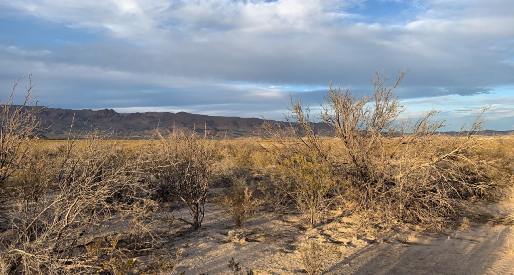 101 Redford, Terlingua, Texas image 5