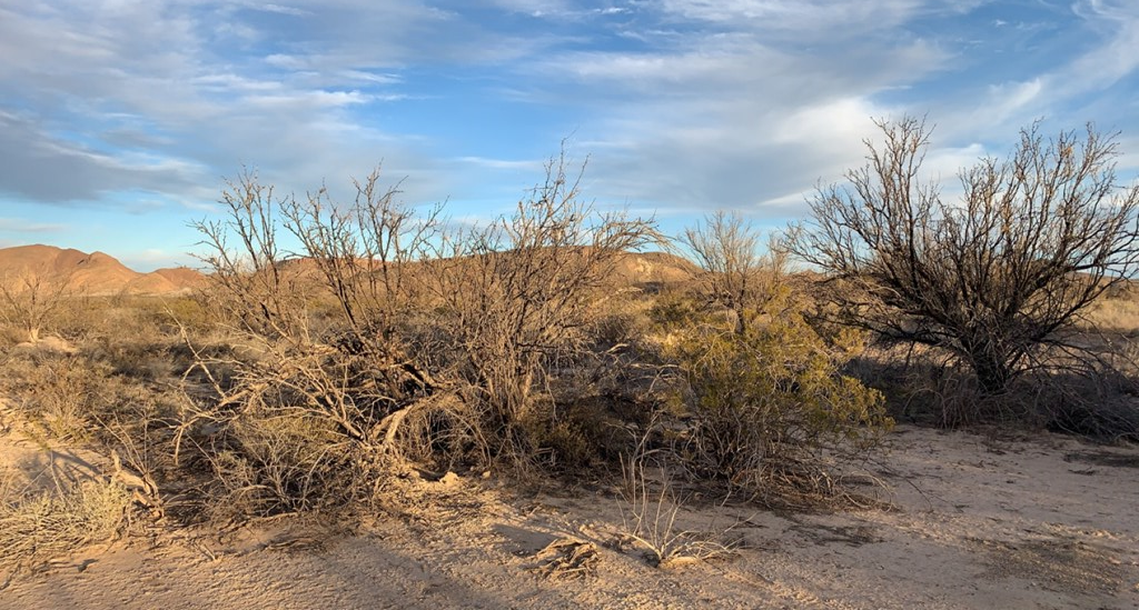 101 Redford, Terlingua, Texas image 6