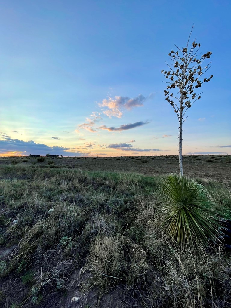 Tract 44 Rabbit Rd, Marfa, Texas image 2