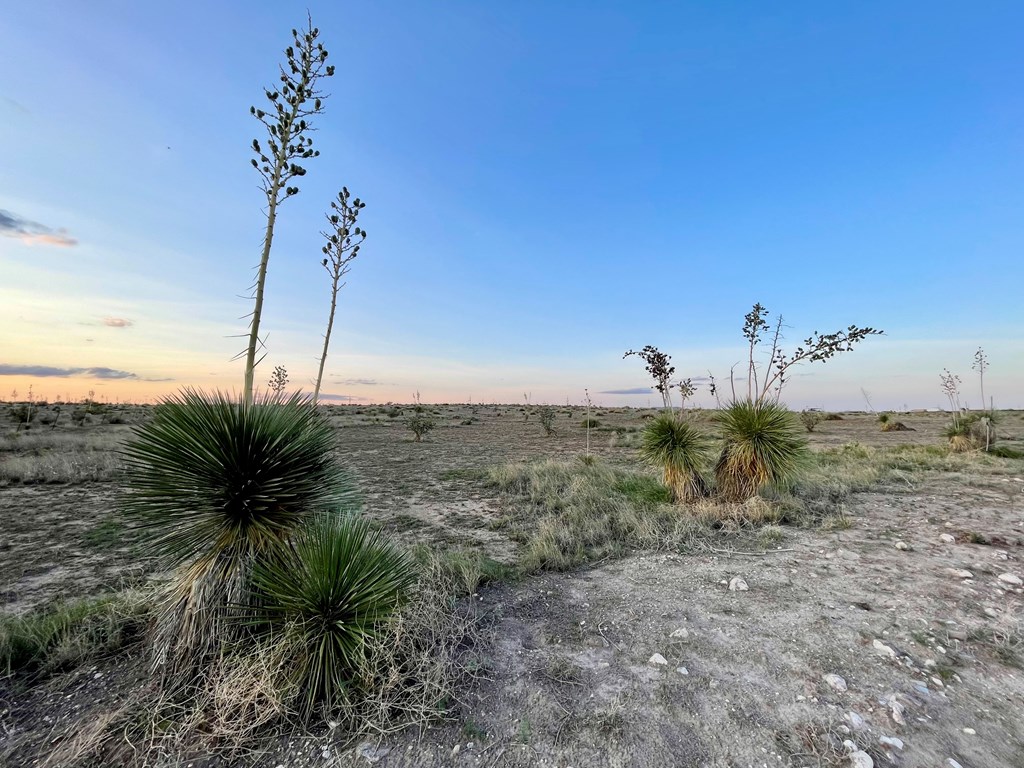 Tract 44 Rabbit Rd, Marfa, Texas image 3