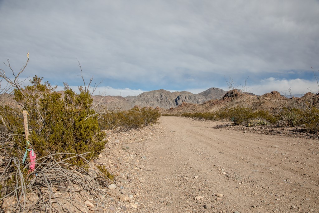 TR 1827 Mud Spring Road, Terlingua, Texas image 16