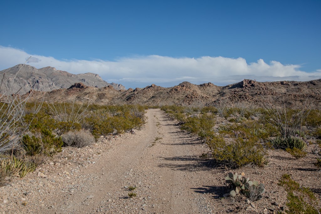 TR 1827 Mud Spring Road, Terlingua, Texas image 2