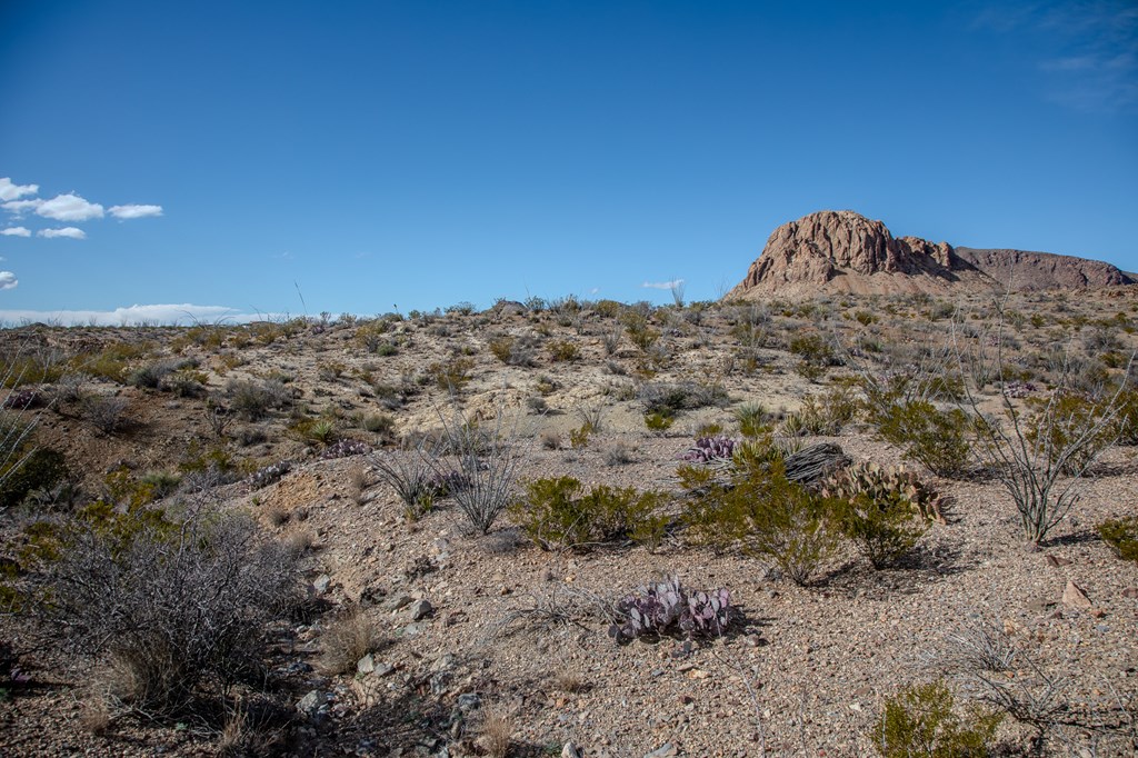 TR 1827 Mud Spring Road, Terlingua, Texas image 20