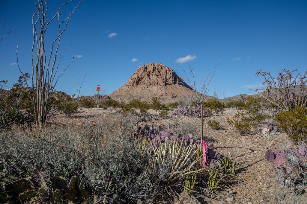 TR 1827 Mud Spring Road, Terlingua, Texas image 14