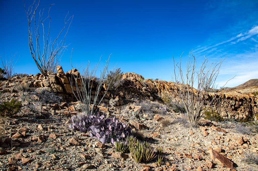 TR 1827 Mud Spring Road, Terlingua, Texas image 12