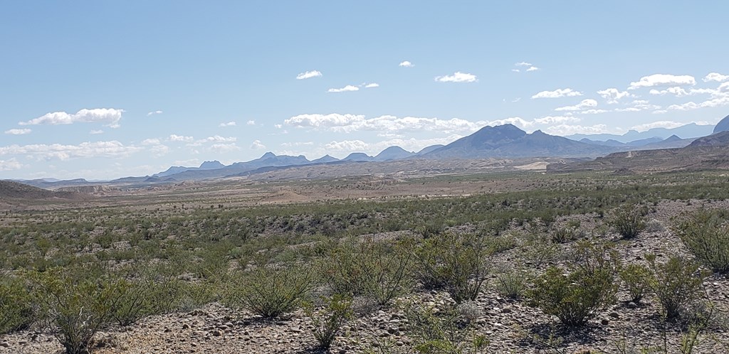 F761 San Angelo Ave, Terlingua, Texas image 12