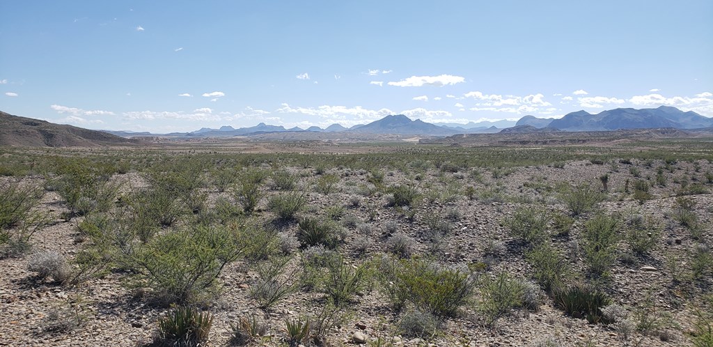 F761 San Angelo Ave, Terlingua, Texas image 15