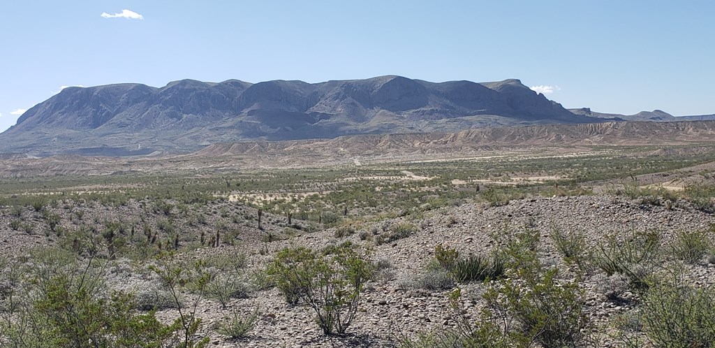 F761 San Angelo Ave, Terlingua, Texas image 3