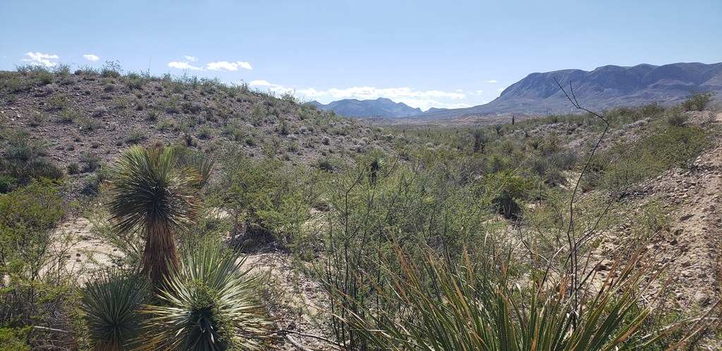 F761 San Angelo Ave, Terlingua, Texas image 4