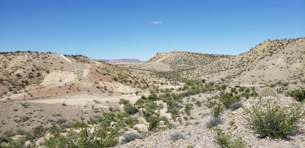 F761 San Angelo Ave, Terlingua, Texas image 5