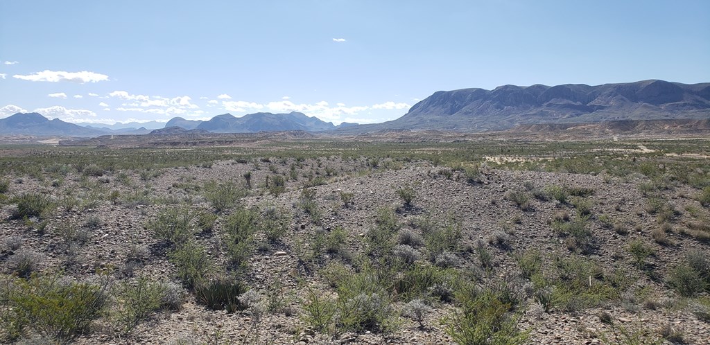 F761 San Angelo Ave, Terlingua, Texas image 9