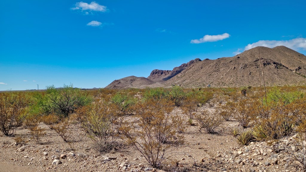 Terlingua Ranch Rd, Terlingua, Texas image 4