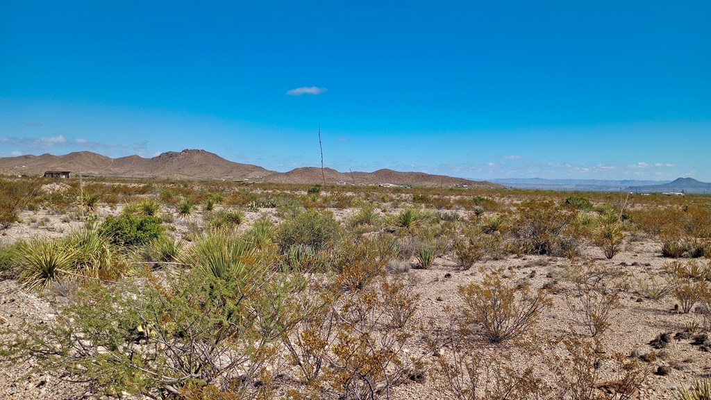 Terlingua Ranch Rd, Terlingua, Texas image 7