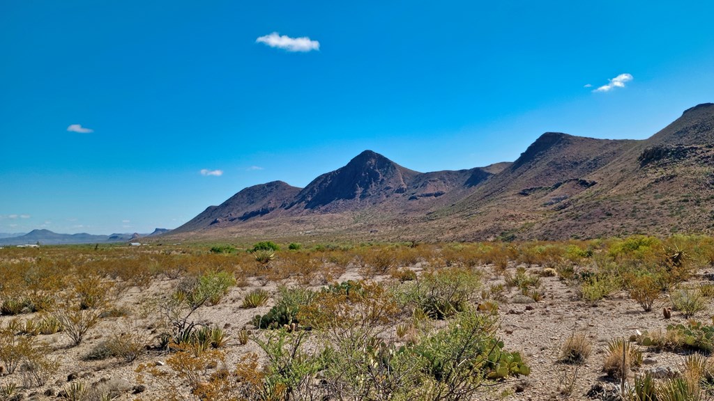 Terlingua Ranch Rd, Terlingua, Texas image 3